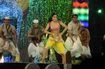 Katrina Kaif at Star Screen Awards 2012 in Mumbai on 14th Jan 2012 (166).JPG